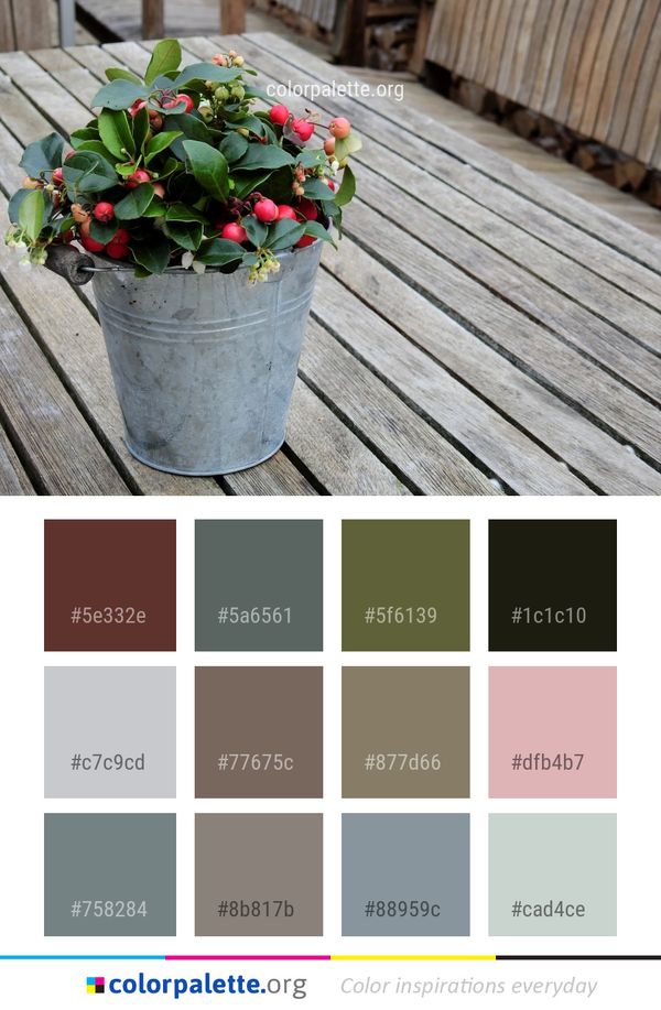 Plant Flowerpot Flower Color Palette