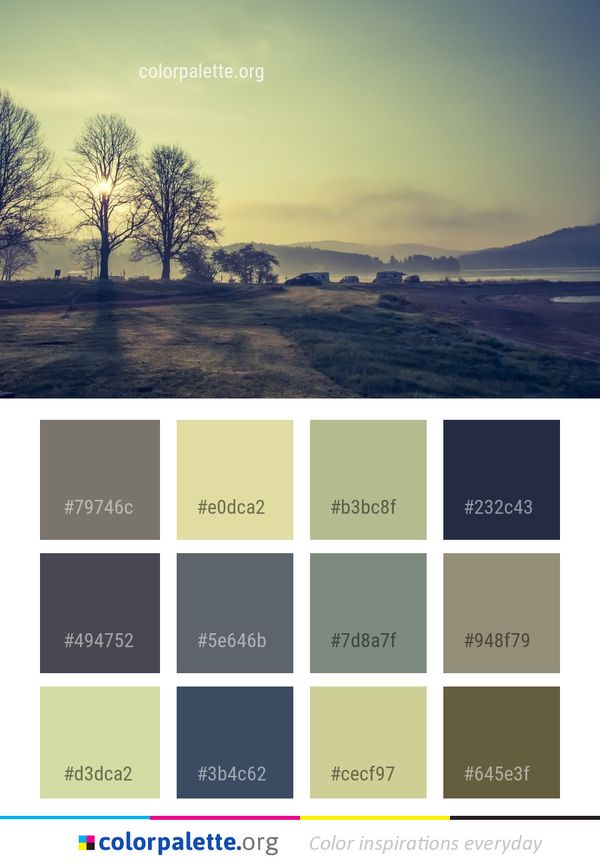 Sky Nature Tree Color Palette