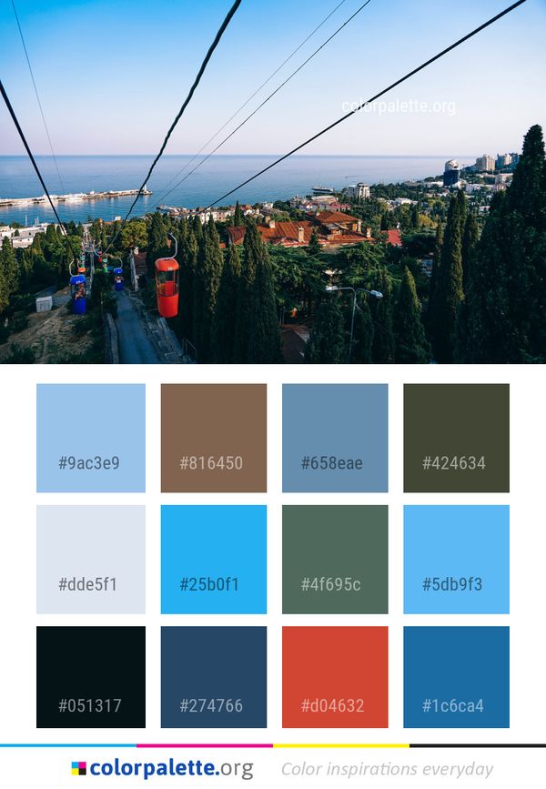 Sky Sea Tree Color Palette