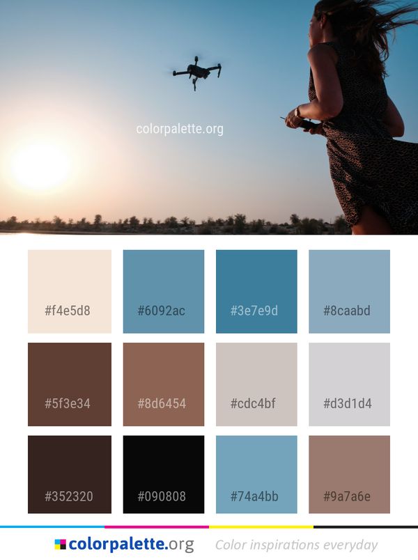 Sky Tree Cloud Color Palette