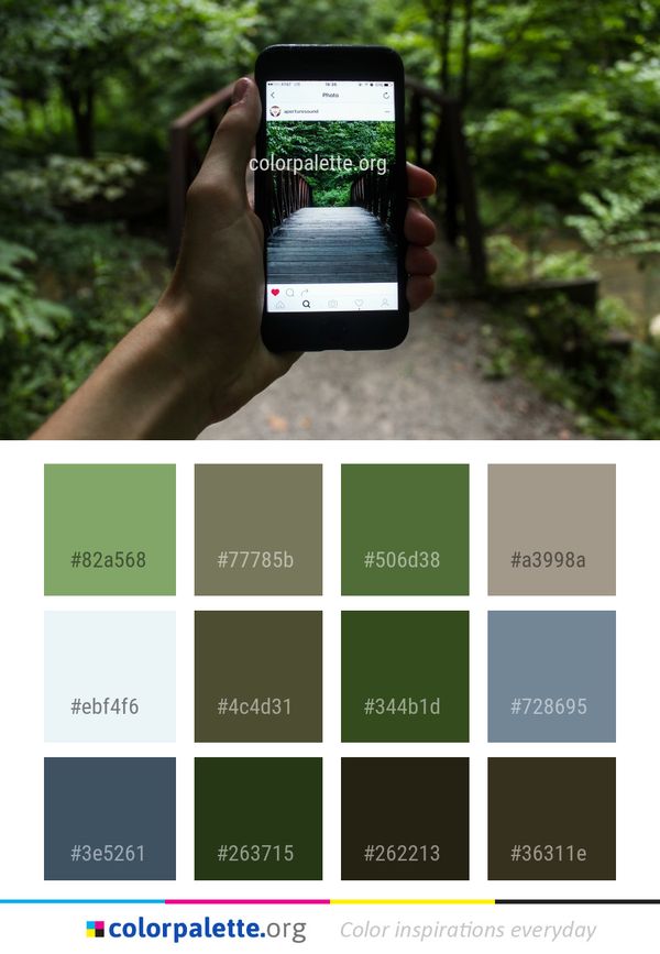 Technology Mobile Phone Electronic Device Color Palette