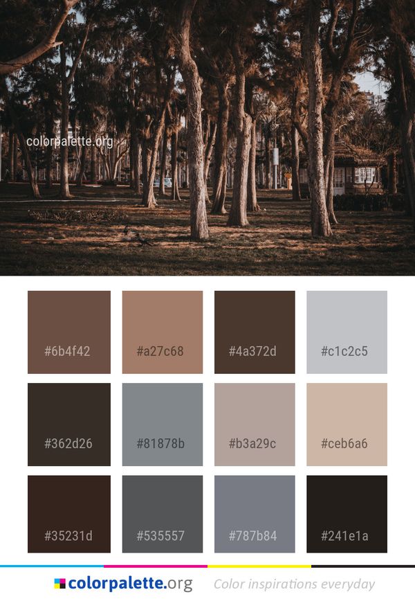 Tree Nature Woody Plant Color Palette