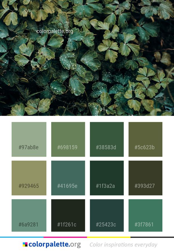 Vegetation Leaf Plant Color Palette