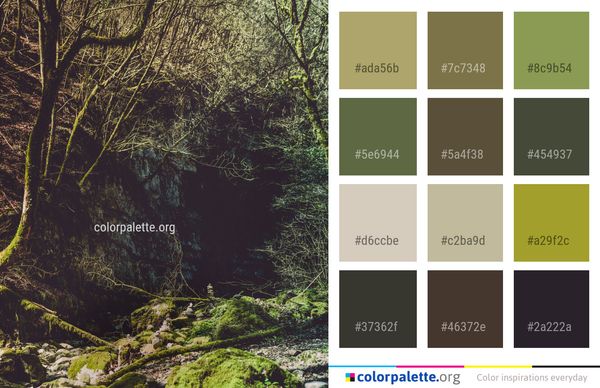 Vegetation Nature Woodland Color Palette