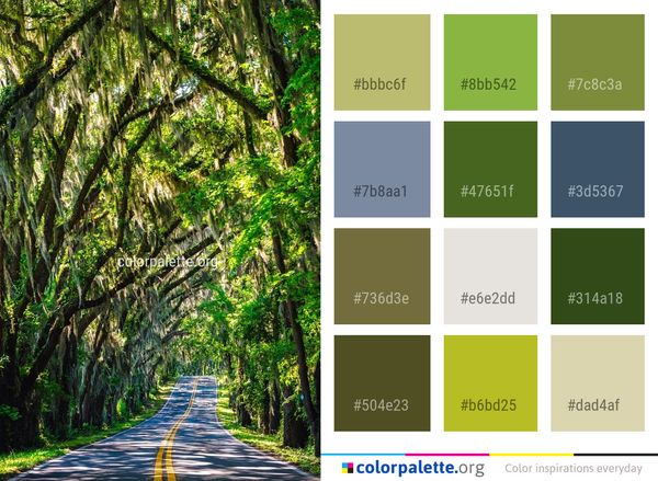 Vegetation Tree Nature Color Palette