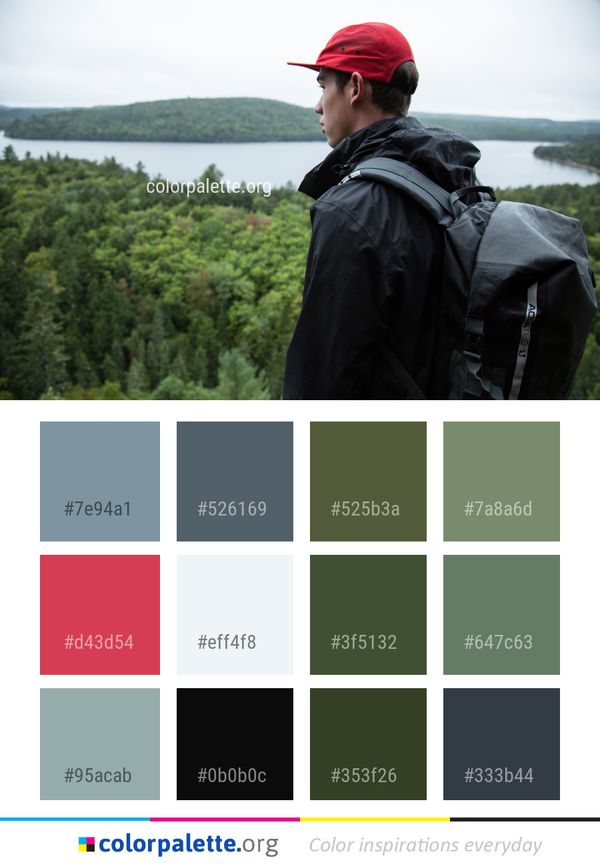 Water Wilderness Tree Color Palette