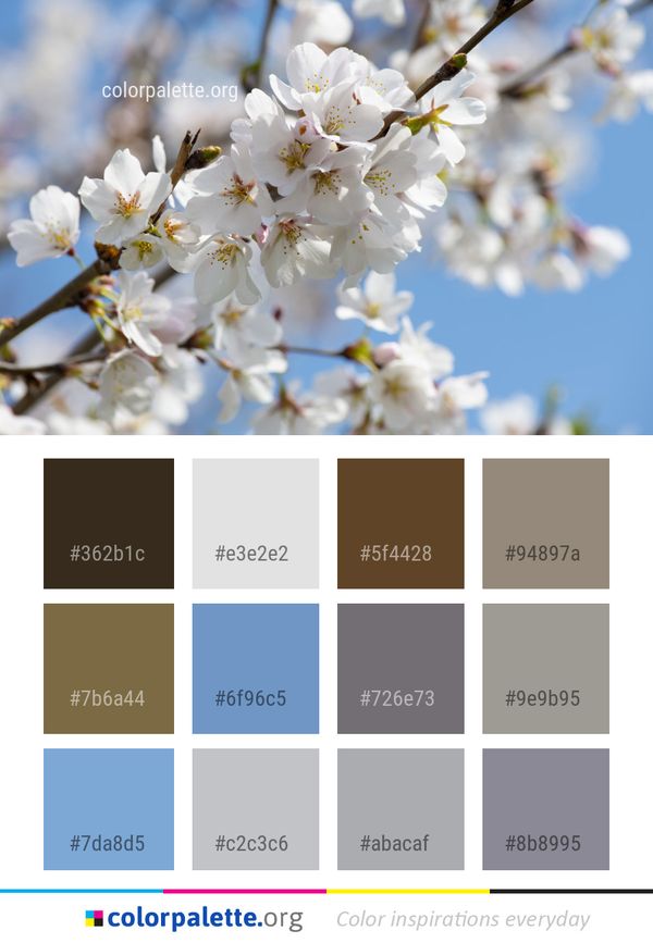 Blossom White Flower Color Palette