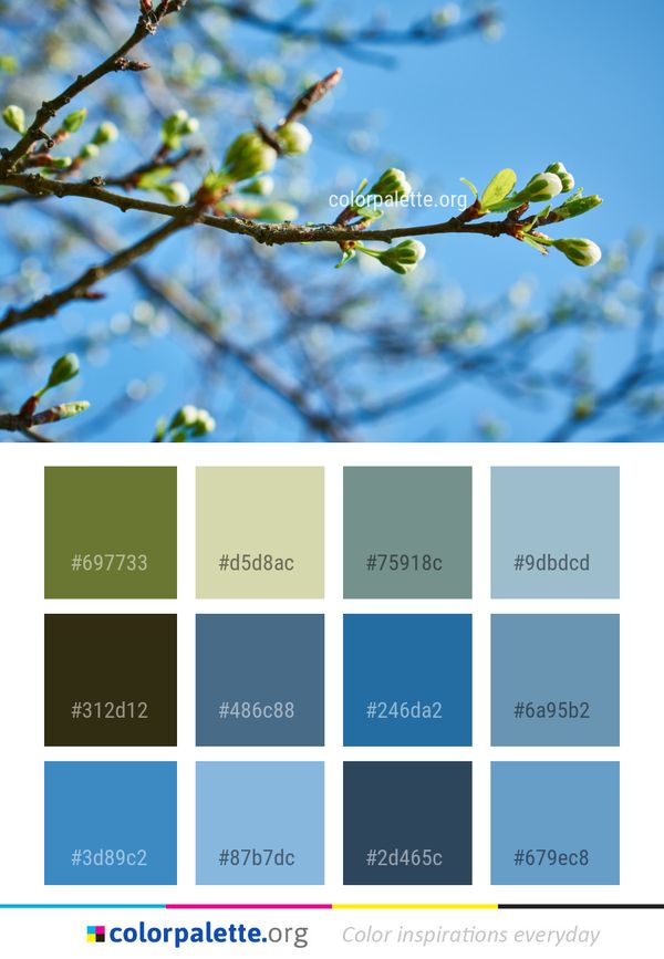 Branch Blossom Twig Color Palette