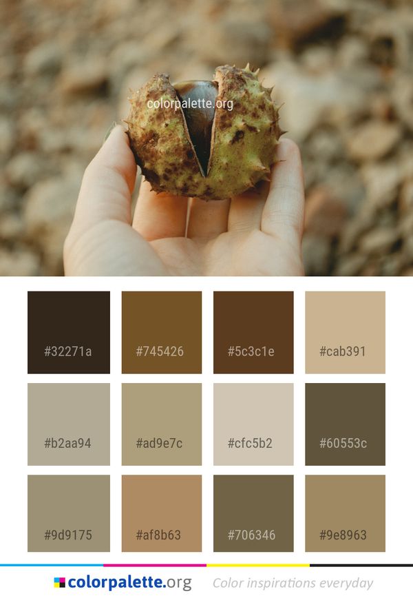 Colorful Color Palette