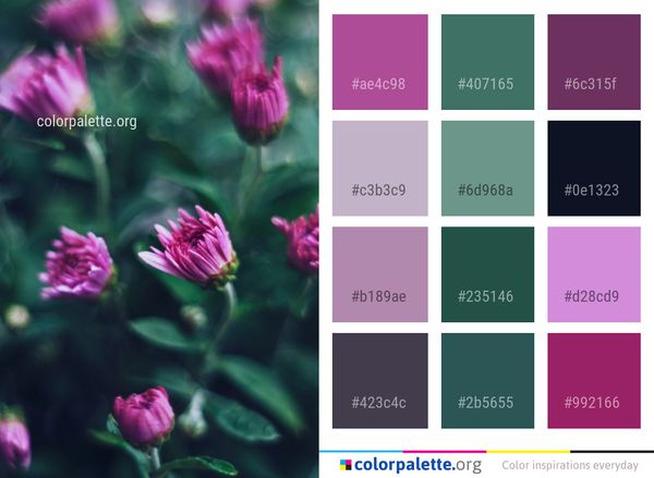Flower Plant Flora Color Palette