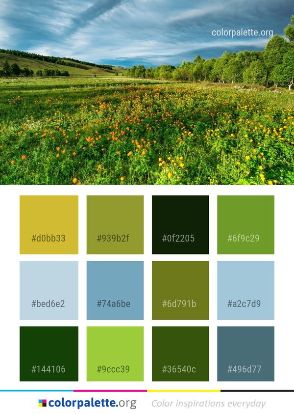 Grassland Vegetation Meadow Color Palette