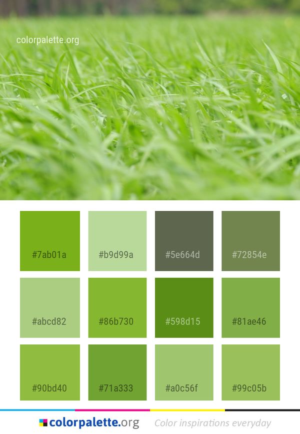 Green Grass Family Color Palette