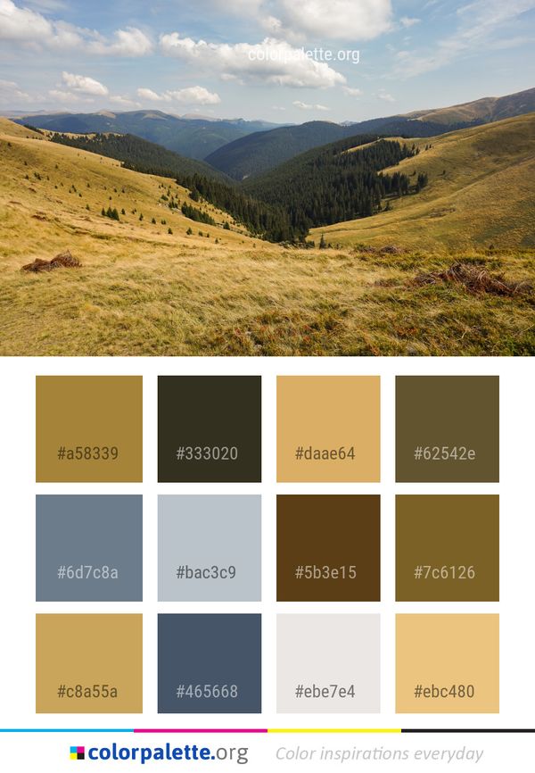 Highland Grassland Mountainous Landforms Color Palette
