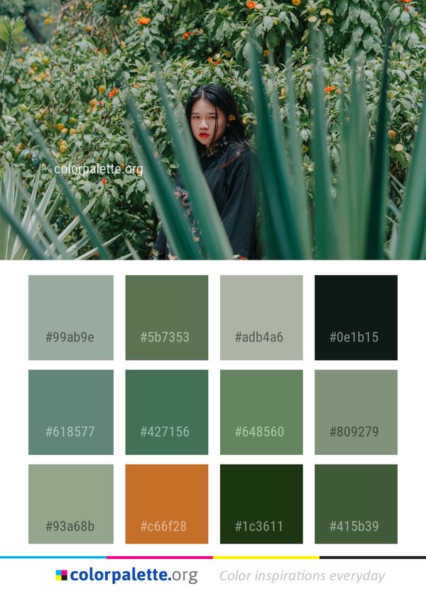 Plant Grass Tree Color Palette