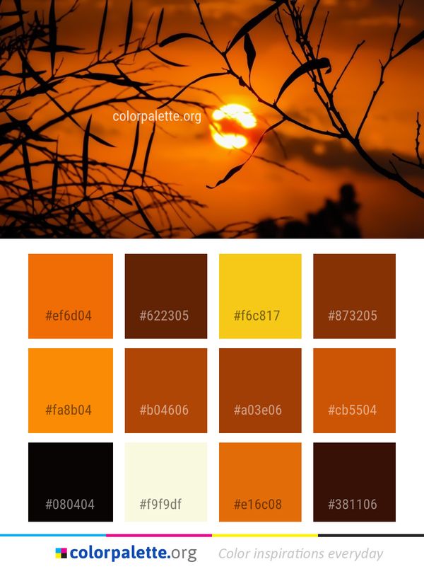 Sky Sun Branch Color Palette