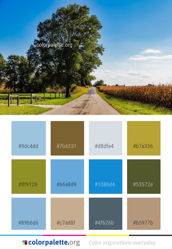 Sky Tree Road Color Palette