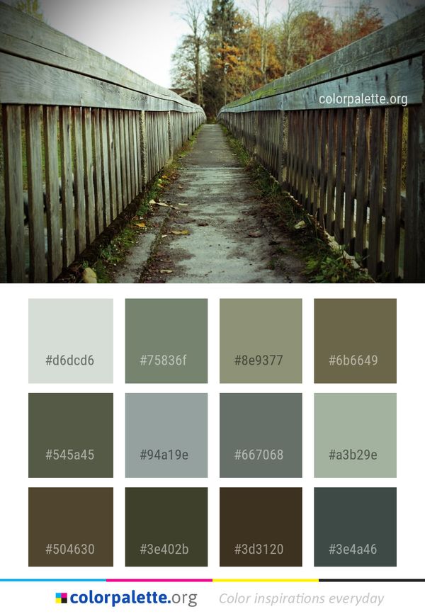 Tree Infrastructure Leaf Color Palette