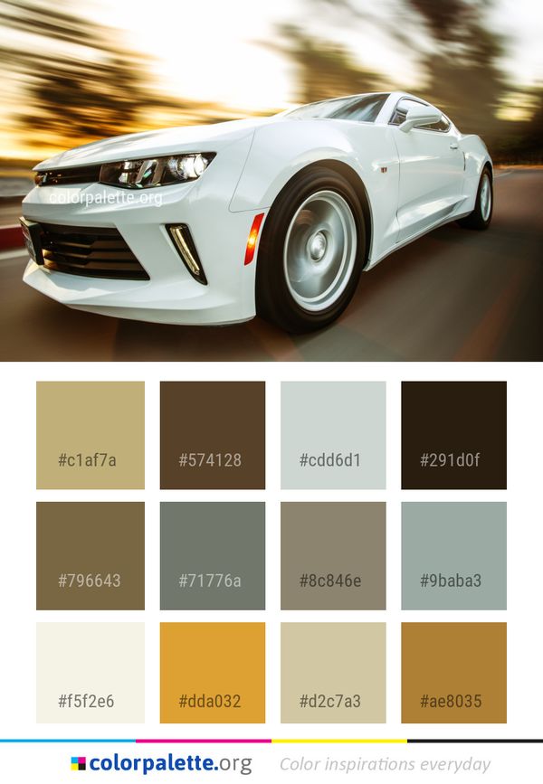 Car Land Vehicle Color Palette