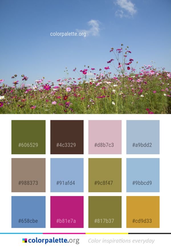 Flower Sky Ecosystem Color Palette