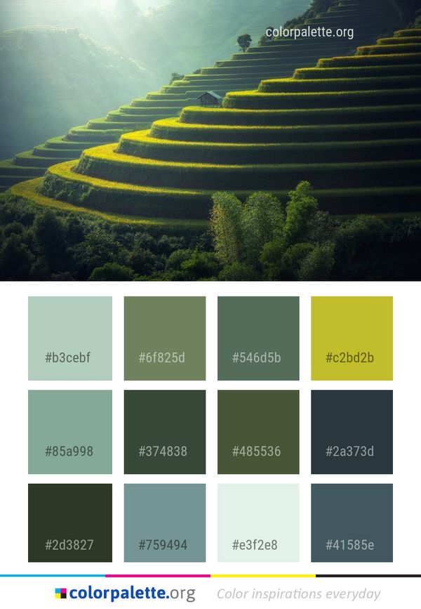 Green Nature Terrace Color Palette