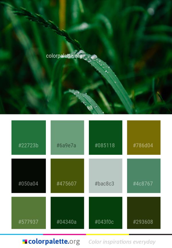 Green Water Dew Color Palette