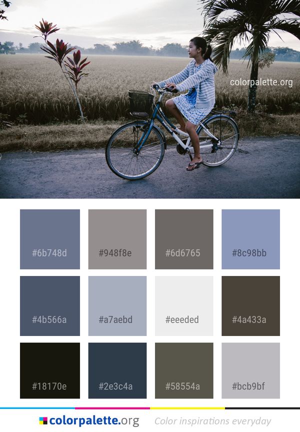 Land Vehicle Bicycle Road Color Palette