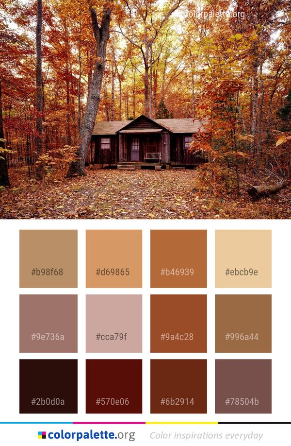 Nature Leaf Autumn Color Palette