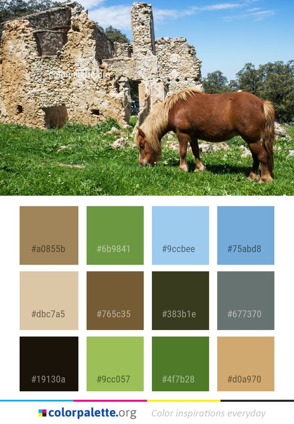 Pasture Tree Grass Color Palette