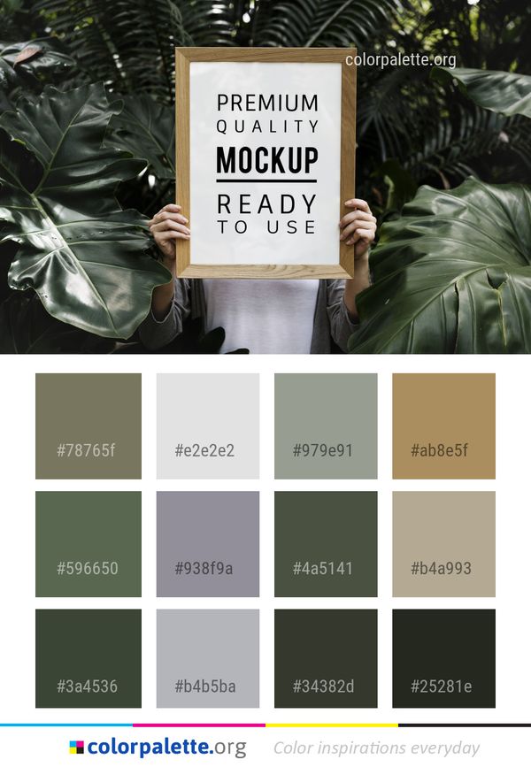 Plant Tree Color Palette