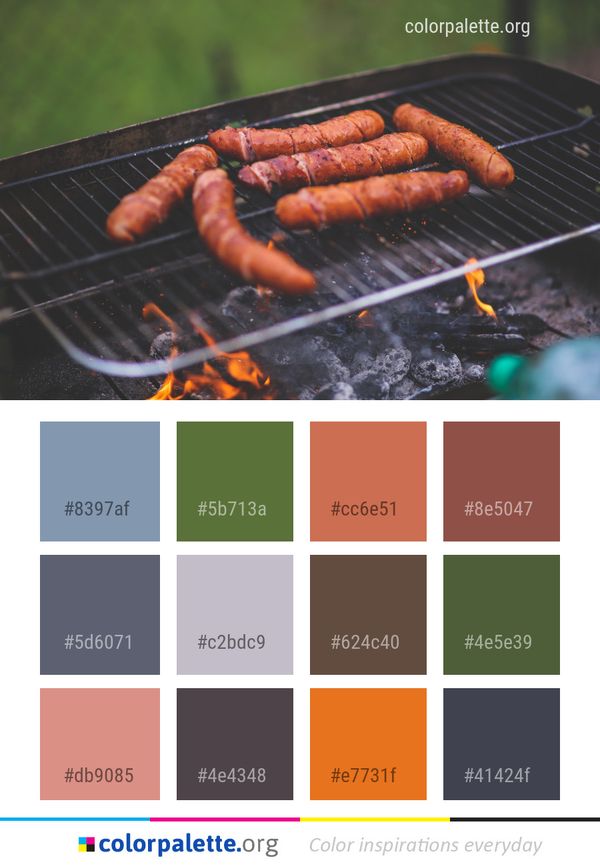 Sausage Kielbasa Bratwurst Color Palette