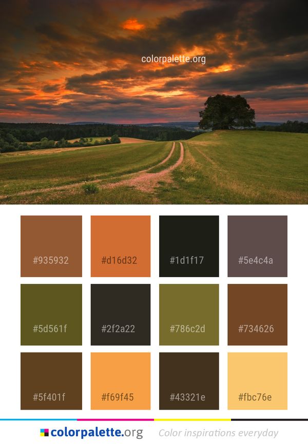 Sky Nature Grassland Color Palette
