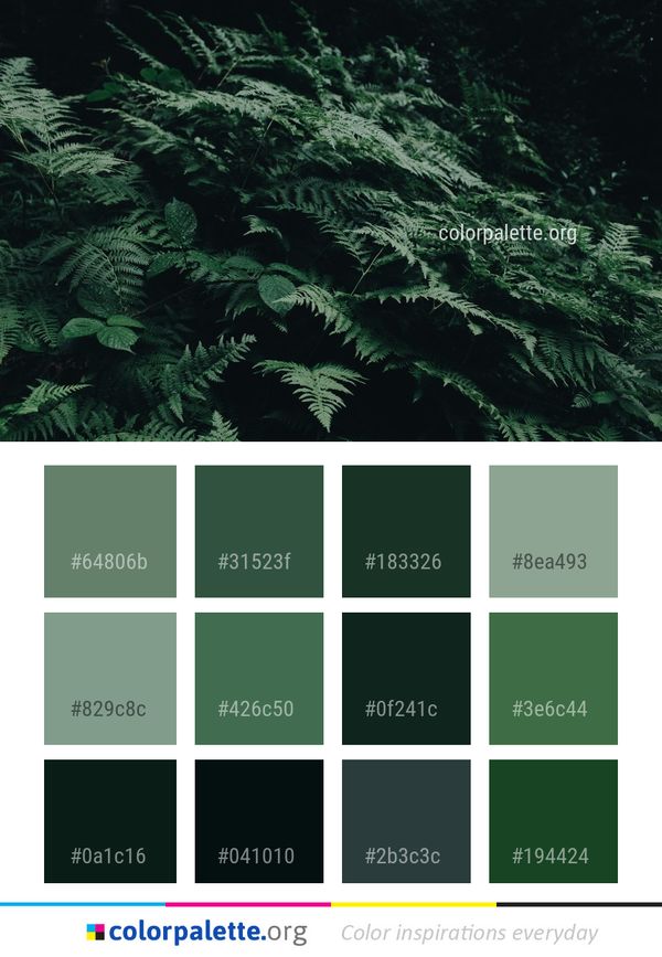 Vegetation Ecosystem Plant Color Palette