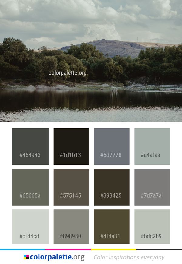 Water Body Of Loch Color Palette