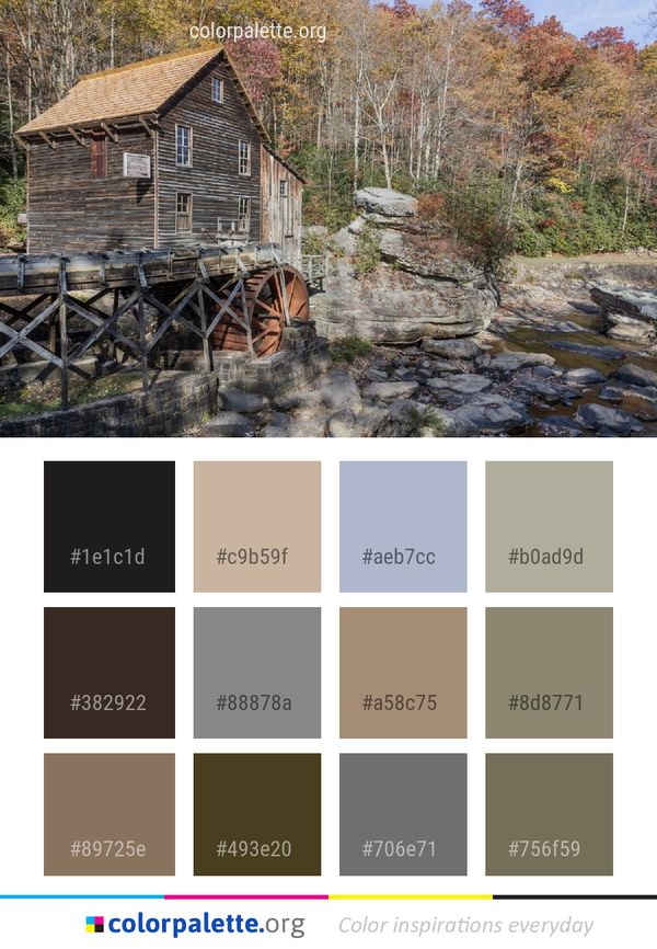 Water Cottage Wilderness Color Palette