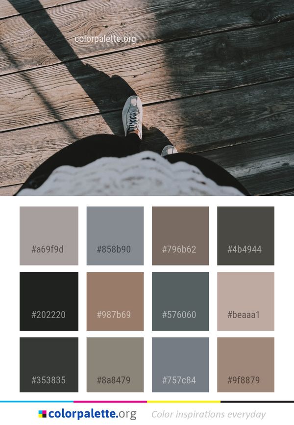 Water Wood Light Color Palette