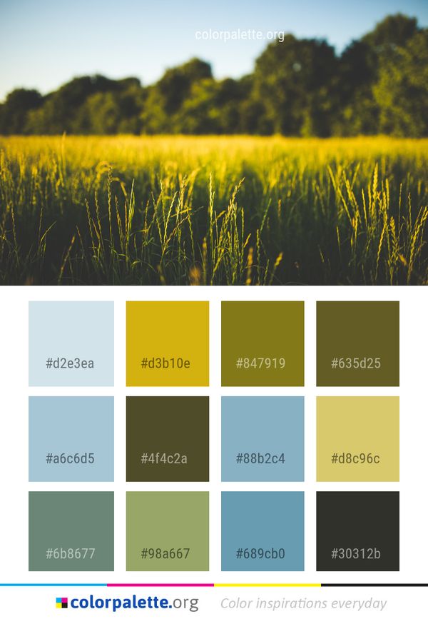 Yellow Field Grassland Color Palette