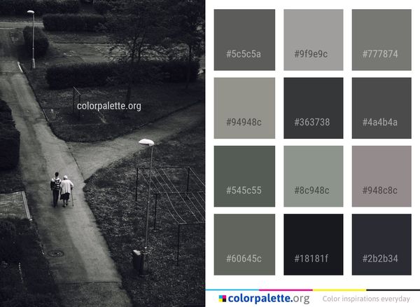 Black And White Monochrome Photography Color Palette