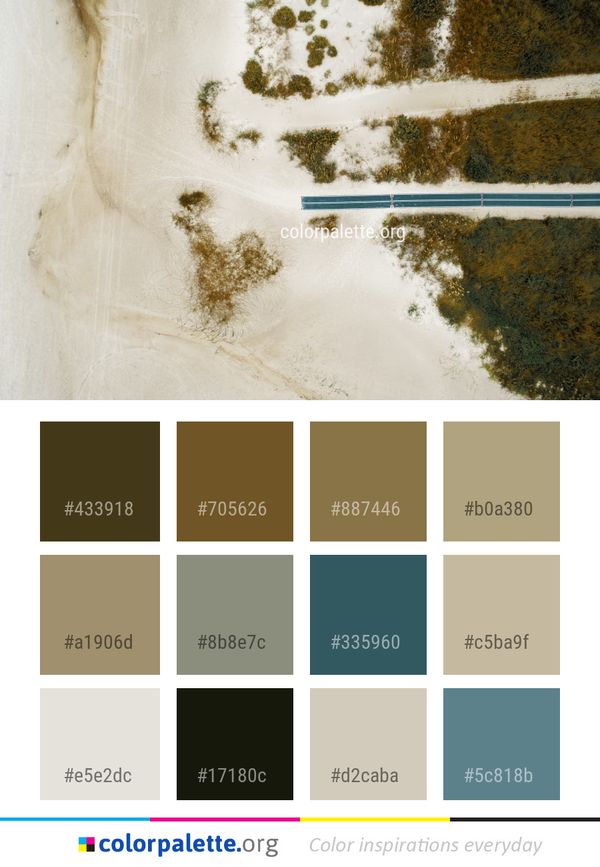 Colorful Color Palette