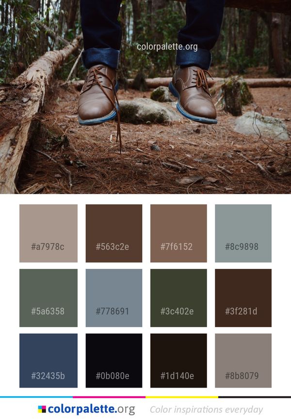 Footwear Shoe Tree Color Palette