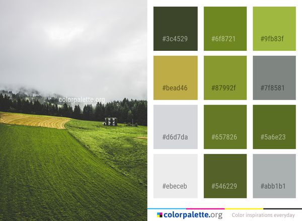 Grassland Green Sky Color Palette