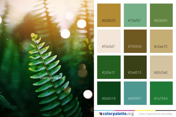 Leaf Vegetation Close Up Color Palette