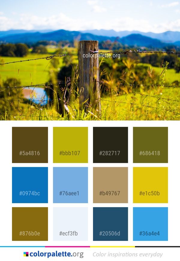 Nature Grassland Field Color Palette