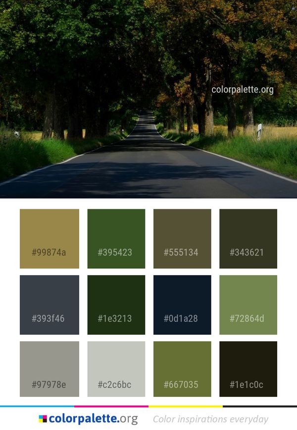Road Nature Tree Color Palette