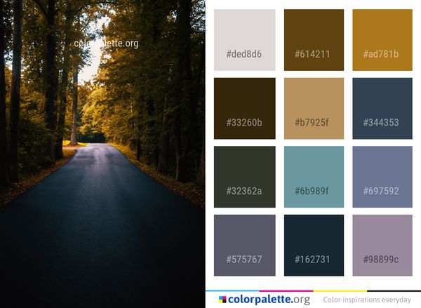 Road Path Nature Color Palette