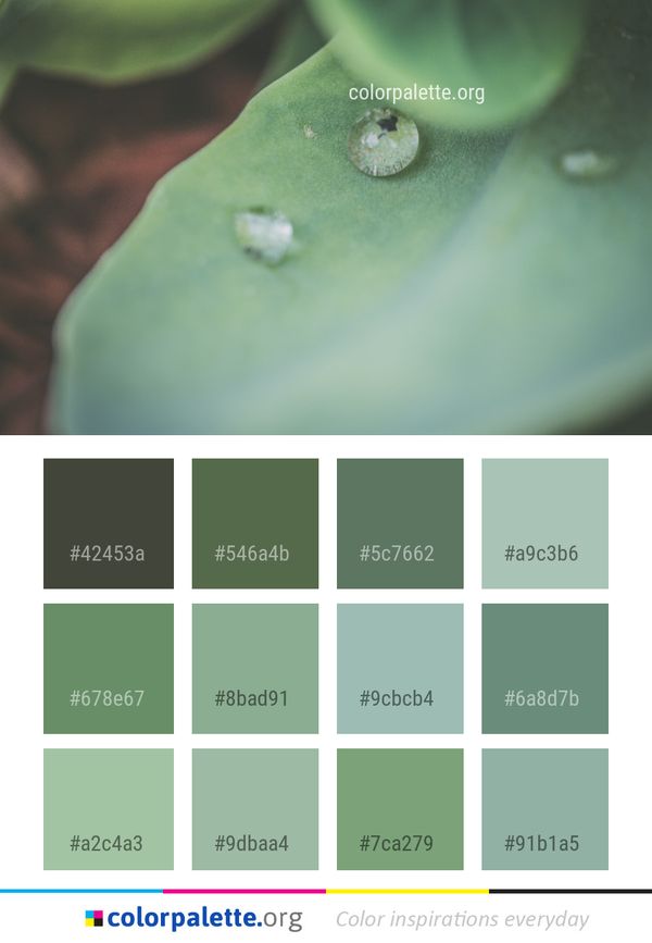 Water Green Macro Photography Color Palette