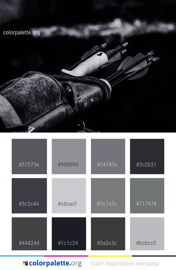 Black And White Monochrome Photography Color Palette
