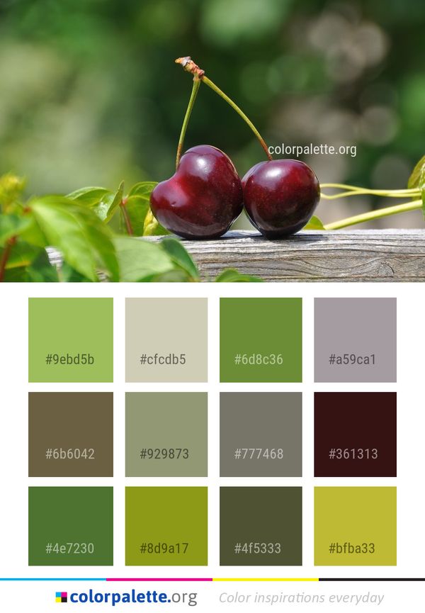 Cherry Fruit Plant Color Palette
