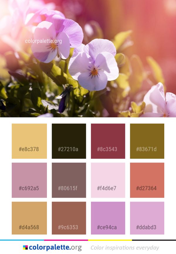 Flower Flora Spring Color Palette