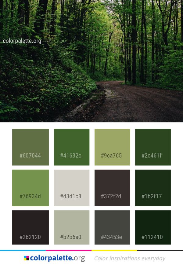 Forest Ecosystem Nature Color Palette