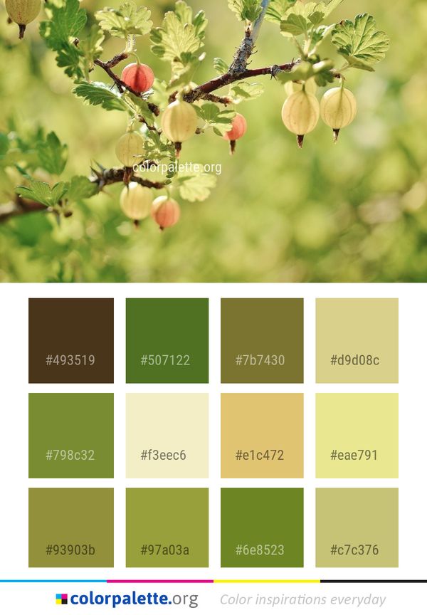 Gooseberry Spring Plant Color Palette